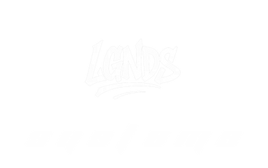 LGNDS Systems
